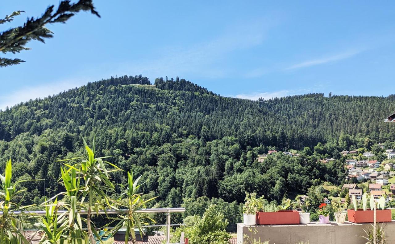 Wildbadferien De Apartment Bad Wildbad Exterior photo